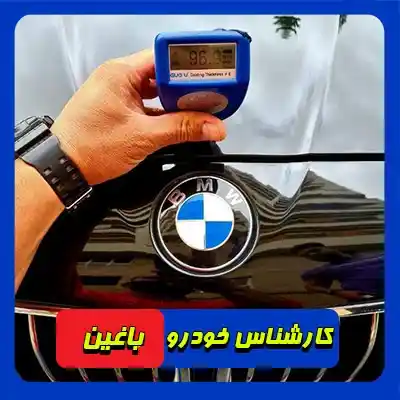 تشخیص رنگ باغین